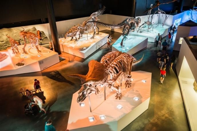 Houston Museum of Natural Science