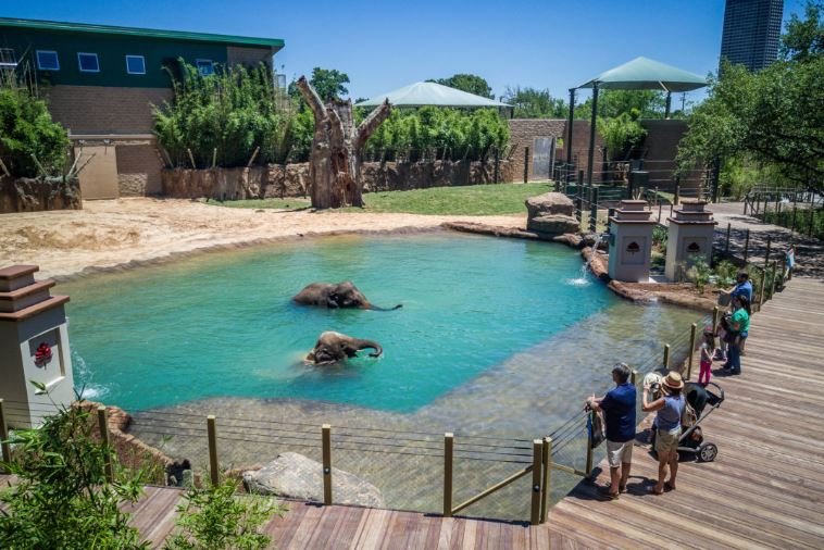 Houston Zoo